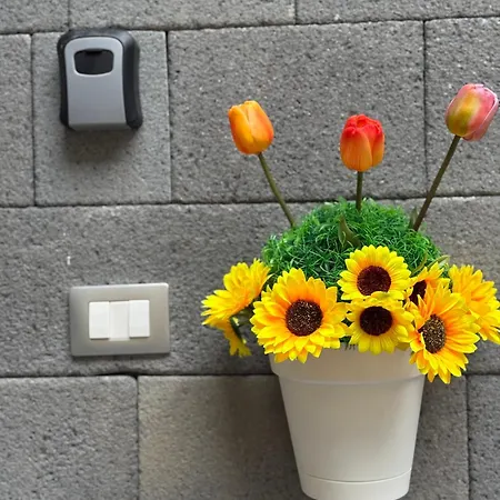 Chloe's House Катания